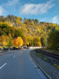 Maple Germany 2025 558095918 10162238596272934 3709500808937706293 n