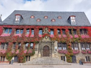 Maple Germany 2025 558710761 10162238597352934 1784586367123872115 n