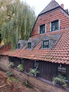 Maple Germany 2025 558834097 10162238594962934 7500695169996483149 n