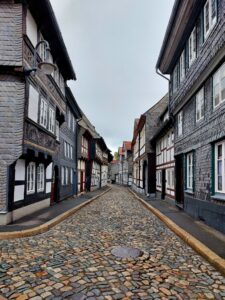 Maple Germany 2025 558836287 10162238589807934 5206385255379220250 n