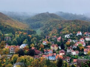 Maple Germany 2025 558842809 10162238590537934 1586123318482759287 n