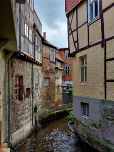 Maple Germany 2025 558852005 10162238598272934 2151125150854199965 n