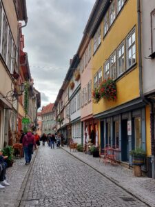 Maple Germany 2025 558866612 10162238599977934 8857691793816288429 n