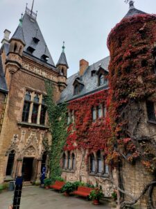 Maple Germany 2025 558896646 10162238590932934 1739215718150073147 n