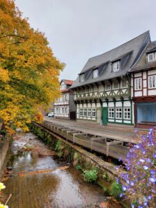 Maple Germany 2025 558901615 10162238590062934 9212134032651374459 n