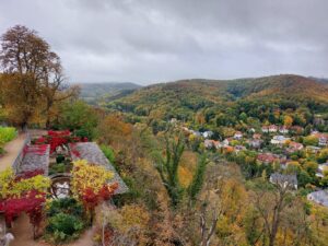 Maple Germany 2025 558959520 10162238595597934 2415651197568685382 n