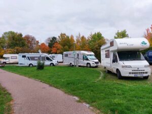 Maple Germany 2025 559019344 10162247401527934 5986170756911381232 n