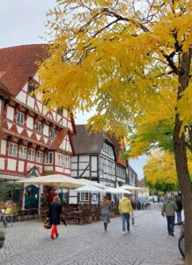 Maple Germany 2025 Hameln