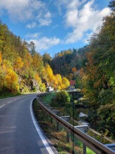 Maple Germany 2025 559106149 10162238596462934 3111573905666076592 n