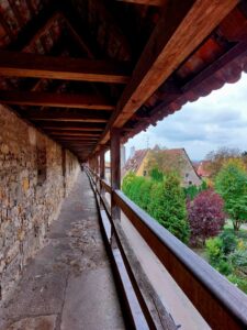 Maple Germany 2025 559132576 10162247399347934 43076630698488595 n