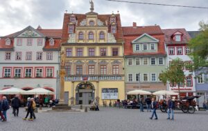 Maple Germany 2025 559932644 10162238599067934 5095287795437060407 n