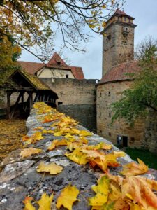 Maple Germany 2025 560917494 10162247399992934 4510072839516753229 n