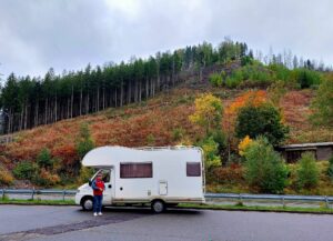 Maple Germany 2025 561343407 10162238595882934 8710893142834041085 n