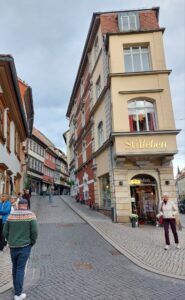 Maple Germany 2025 561752062 10162238599772934 3888694108288279008 n