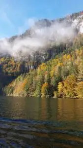 Maple Germany 2025 Germany 2025