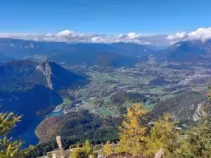 Maple Germany 2025 Germany 2025