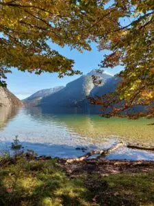 Maple Germany 2025 Germany 2025