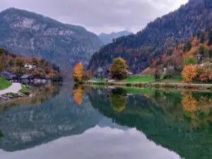 Maple Germany 2025 Germany 2025