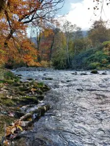 Maple Germany 2025 Bercthesgaden