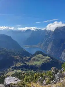 Maple Germany 2025 Germany 2025