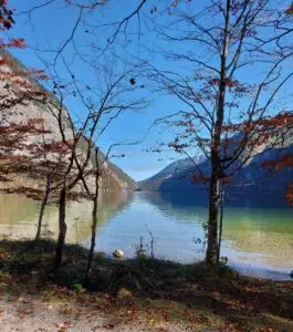 Maple Germany 2025 Germany 2025