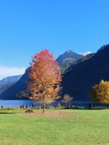 Maple Germany 2025 Konigsee Lake