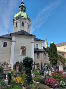 Maple Germany 2025 Austria 2025