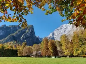 Maple Germany 2025 Germany 2025