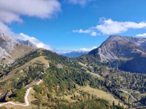 Maple Germany 2025 Germany 2025