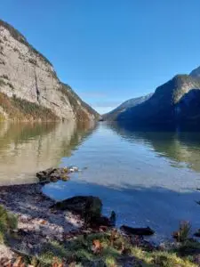 Maple Germany 2025 Germany 2025