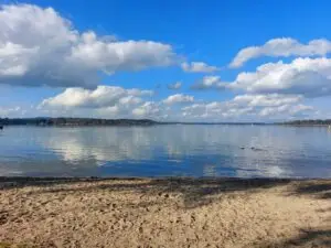 Maple Germany 2025 Germany 2025