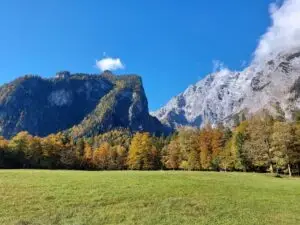 Maple Germany 2025 Germany 2025