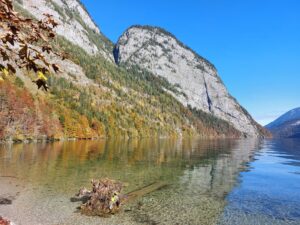 Maple Germany 2025 Germany 2025