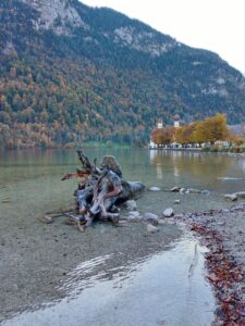 Maple Germany 2025 Germany 2025