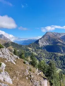 Maple Germany 2025 Germany 2025