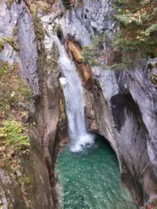 Maple Germany 2025 Germany 2025