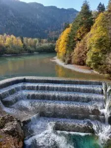 Maple Germany 2025 Austria 2025