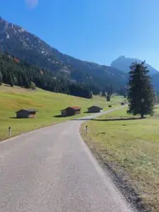 Maple Germany 2025 Germany 2025