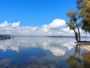 Maple Germany 2025 Two Travelling Vikings