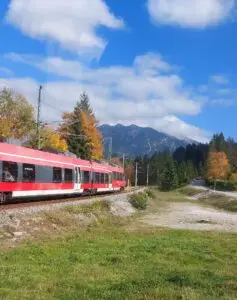 Maple Germany 2025 maple 2025