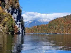 Maple Germany 2025 Germany 2025