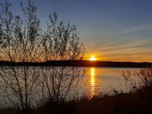 Maple Germany 2025 Germany 2025