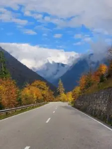 Maple Germany 2025 Germany 2025