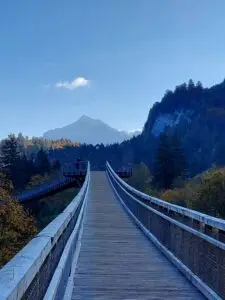 Maple Germany 2025 Germany 2025