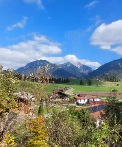 Maple Germany 2025 Germany 2025