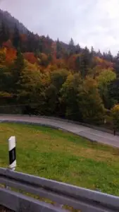 Maple Germany 2025 Germany 2025