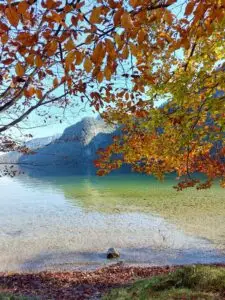 Maple Germany 2025 Konigsee