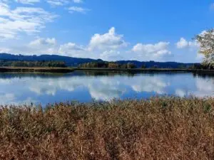 Maple Germany 2025 Maple Germany