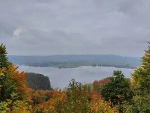 Maple Germany 2025 Maple Germany