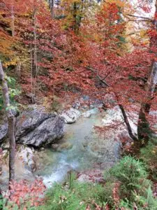 Maple Germany 2025 Maple Germany